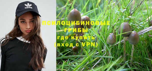 спайс Балахна