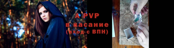 крисы Арсеньев