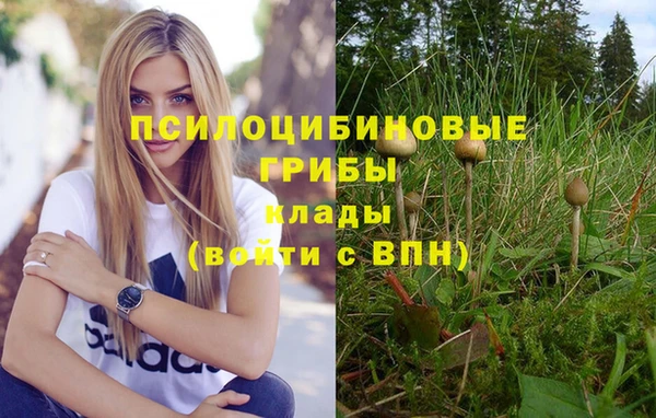 крисы Арсеньев