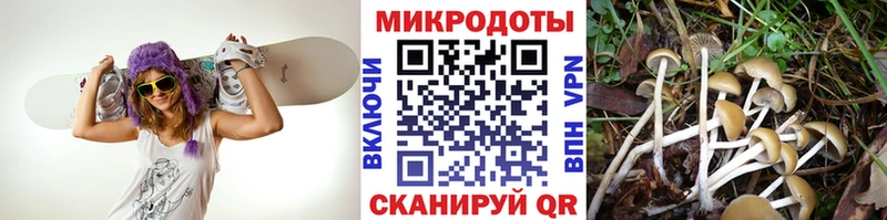 Галлюциногенные грибы GOLDEN TEACHER Лаишево
