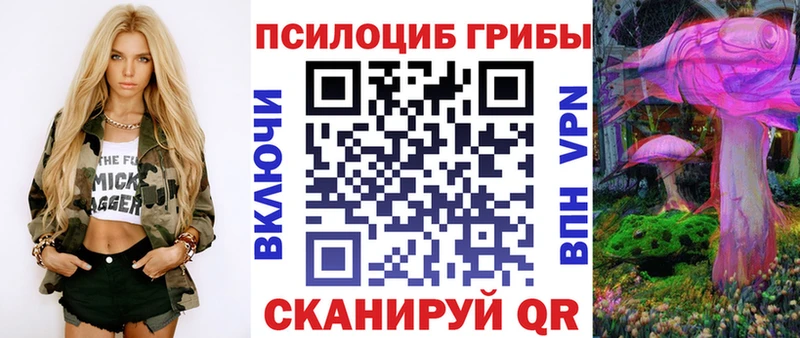 MEGA ONION  Лаишево  Псилоцибиновые грибы GOLDEN TEACHER 