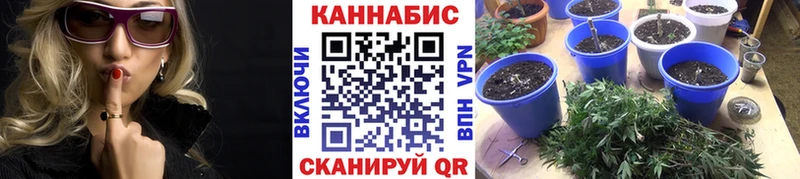 Каннабис OG Kush Лаишево